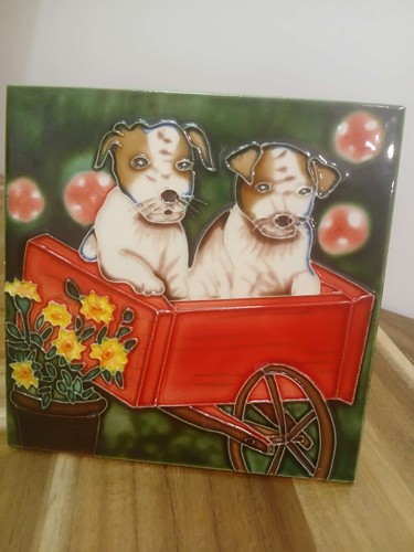 Pair jack russell - pups, on