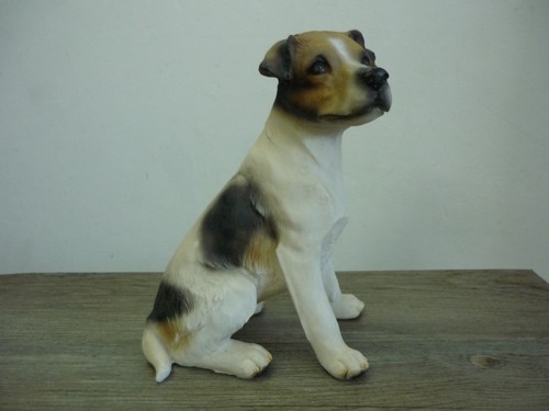 Sitting jack russell terrier - jack,