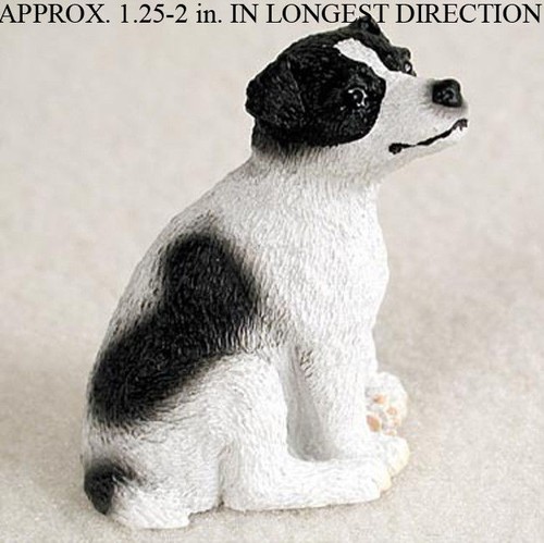 Jack russell terrier mini - russell,