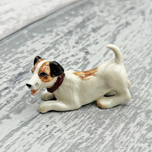 Miniature jack russell - jack, terrier