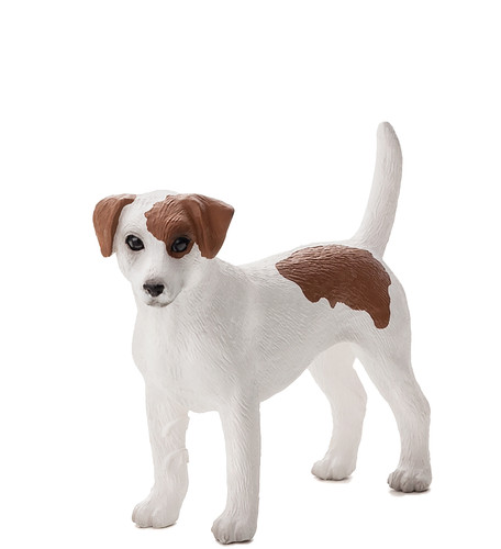 Jack russell terrier - jack, toy